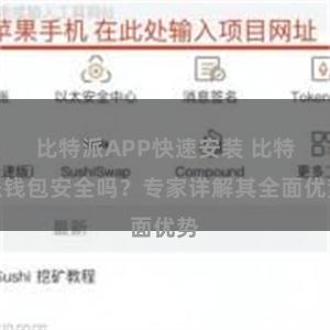 比特派APP快速安装 比特派钱包安全吗？专家详解其全面优势