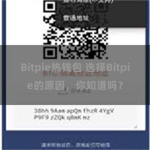 Bitpie热钱包 选择Bitpie的原因，你知道吗？