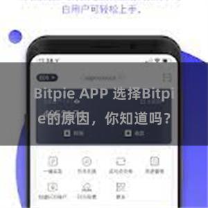 Bitpie APP 选择Bitpie的原因，你知道吗？