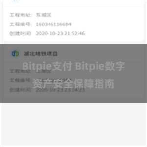 Bitpie支付 Bitpie数字资产安全保障指南