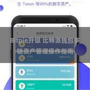 Bitpie升级 比特派钱包多链资产管理操作指南