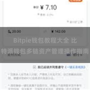 Bitpie钱包教程大全 比特派钱包多链资产管理操作指南