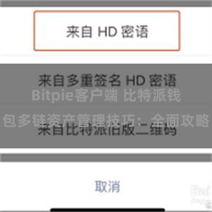 Bitpie客户端 比特派钱包多链资产管理技巧：全面攻略