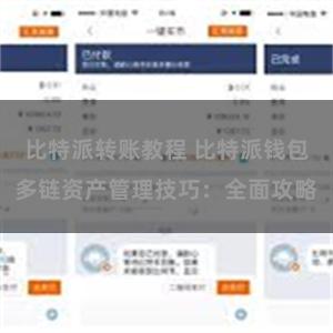 比特派转账教程 比特派钱包多链资产管理技巧：全面攻略