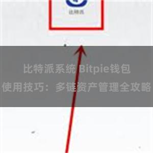 比特派系统 Bitpie钱包使用技巧：多链资产管理全攻略