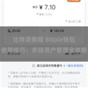 比特派教程 Bitpie钱包使用技巧：多链资产管理全攻略