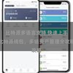 比特派多语言支持 快速上手比特派钱包，多链资产管理全攻略