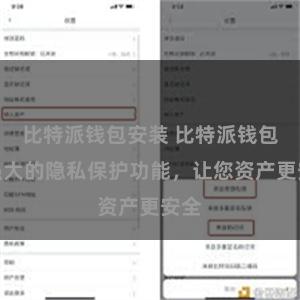 比特派钱包安装 比特派钱包：强大的隐私保护功能，让您资产更安全