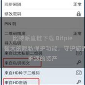 比特派直链下载 Bitpie钱包：强大的隐私保护功能，守护您的资产