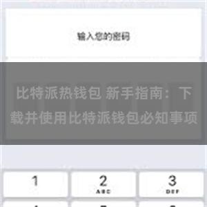 比特派热钱包 新手指南：下载并使用比特派钱包必知事项