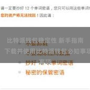 比特派钱包稳定性 新手指南：下载并使用比特派钱包必知事项