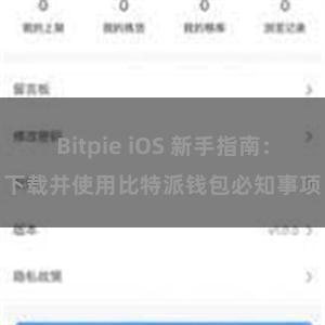 Bitpie iOS 新手指南：下载并使用比特派钱包必知事项