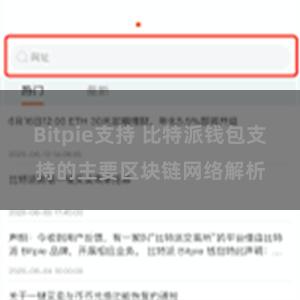 Bitpie支持 比特派钱包支持的主要区块链网络解析