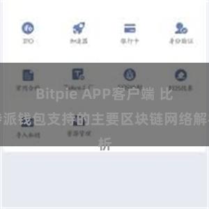 Bitpie APP客户端 比特派钱包支持的主要区块链网络解析