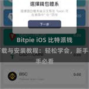 Bitpie iOS 比特派钱包下载与安装教程：轻松学会，新手必看