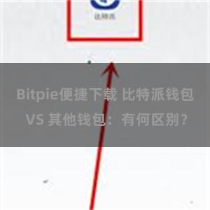 Bitpie便捷下载 比特派钱包 VS 其他钱包：有何区别？