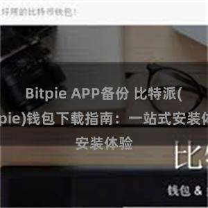 Bitpie APP备份 比特派(Bitpie)钱包下载指南：一站式安装体验