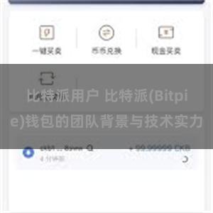 比特派用户 比特派(Bitpie)钱包的团队背景与技术实力