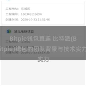 Bitpie钱包直连 比特派(Bitpie)钱包的团队背景与技术实力