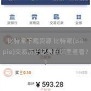 比特派下载资源 比特派(Bitpie)交易历史记录在哪里查看？