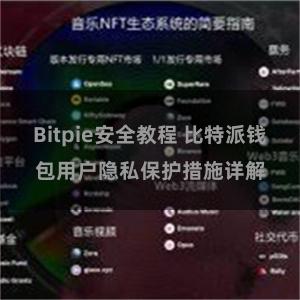 Bitpie安全教程 比特派钱包用户隐私保护措施详解