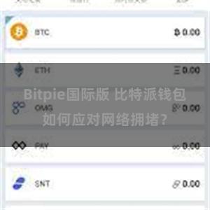 Bitpie国际版 比特派钱包如何应对网络拥堵？