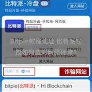 Bitpie教程地址 比特派钱包如何应对网络拥堵？