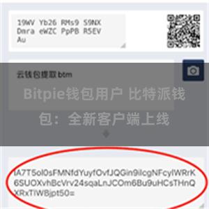 Bitpie钱包用户 比特派钱包：全新客户端上线