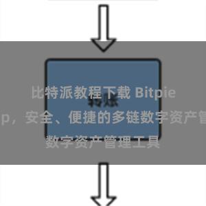 比特派教程下载 Bitpie官方App，安全、便捷的多链数字资产管理工具