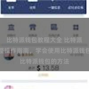 比特派钱包教程大全 比特派钱包完整操作指南，学会使用比特派钱包的方法