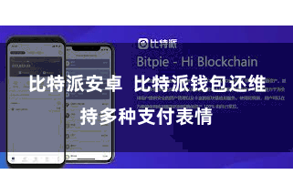 比特派安卓  比特派钱包还维持多种支付表情